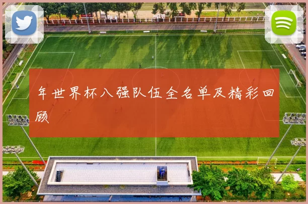 年世界杯八强队伍全名单及精彩回顾