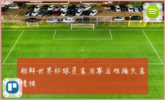 朝鲜世界杯球员落泪赛后难掩失落情绪