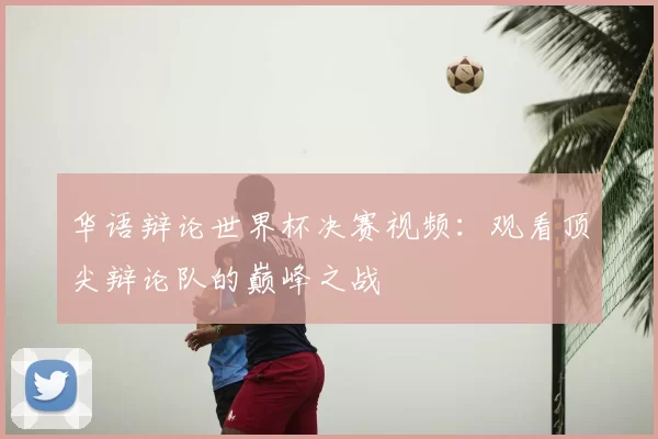 华语辩论世界杯决赛视频：观看顶尖辩论队的巅峰之战