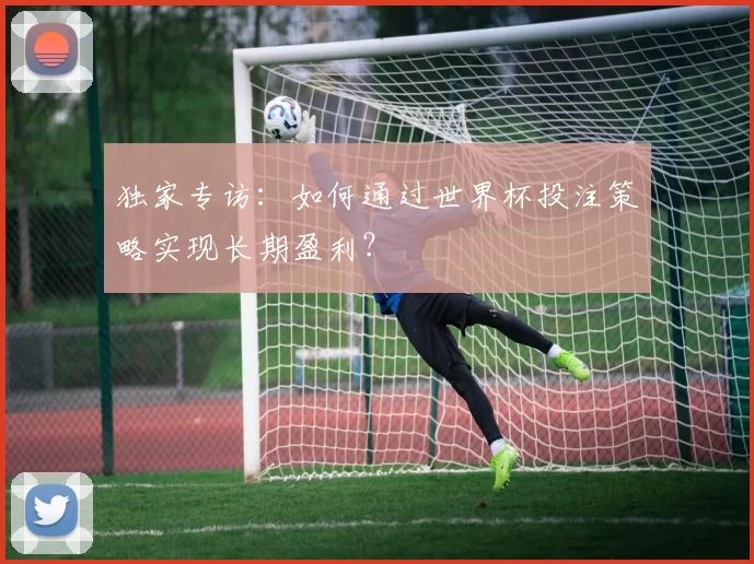 独家专访：如何通过世界杯投注策略实现长期盈利？