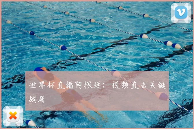 世界杯直播阿根廷：视频直击关键战局