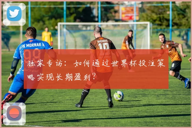 独家专访：如何通过世界杯投注策略实现长期盈利？