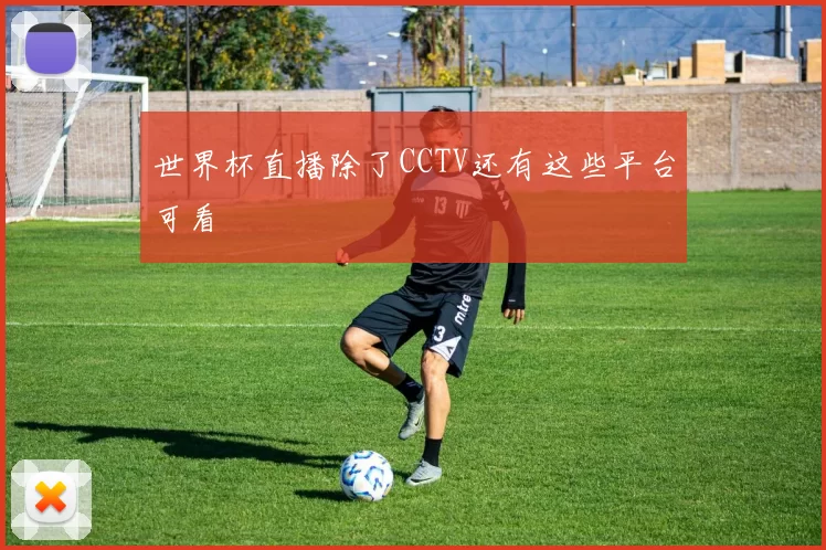 世界杯直播除了CCTV还有这些平台可看