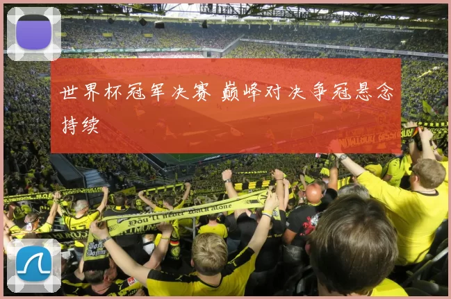 世界杯冠军决赛 巅峰对决争冠悬念持续